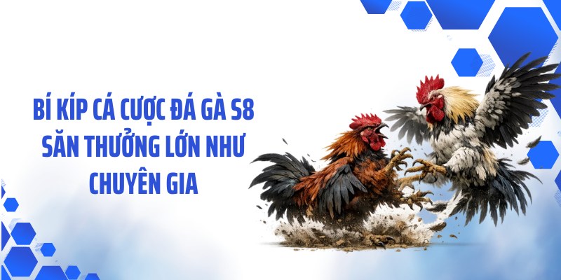 Bí kíp cá cược đá gà S8 săn thưởng lớn như chuyên gia