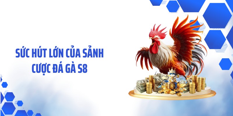 Sức hút lớn của sảnh cược đá gà S8